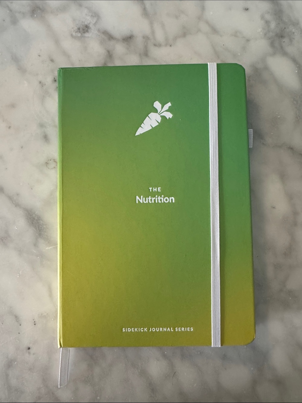The Nutrition Sidekick Journal - Green Ombre Notebook